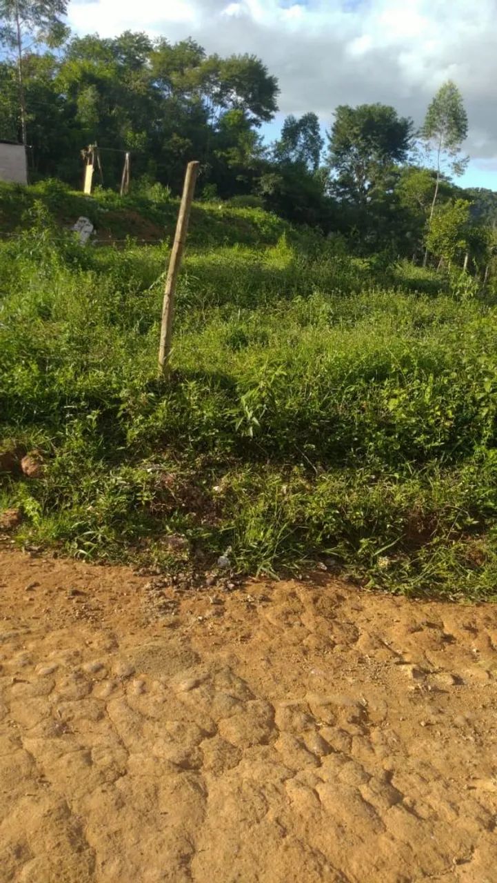 Granja em Humaitá 3 quartos - Foto 3