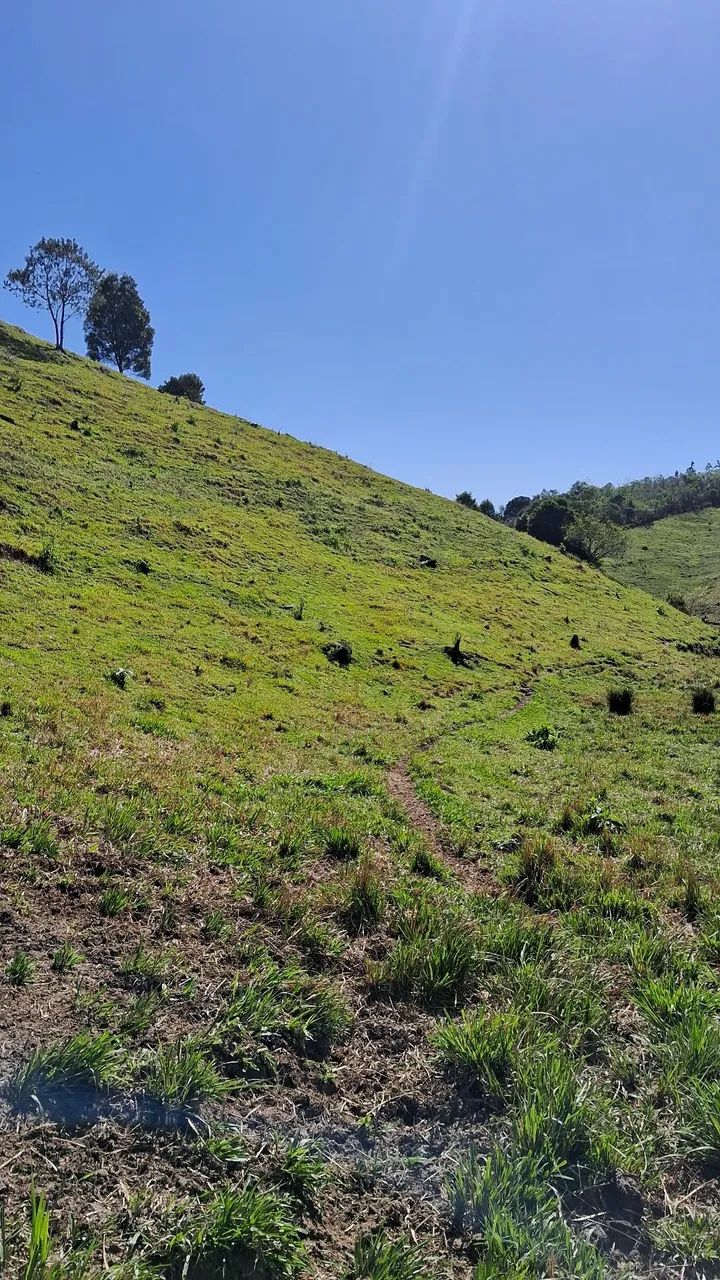 Terrenos a partir de 2 hectares em Anitápolis-SC  - Foto 5