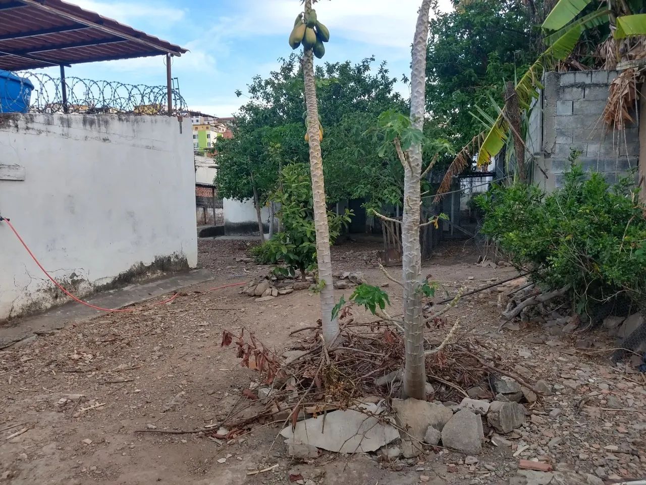 Lote - Terreno à venda, Santa Efigênia - Belo Horizonte/MG - Foto 5