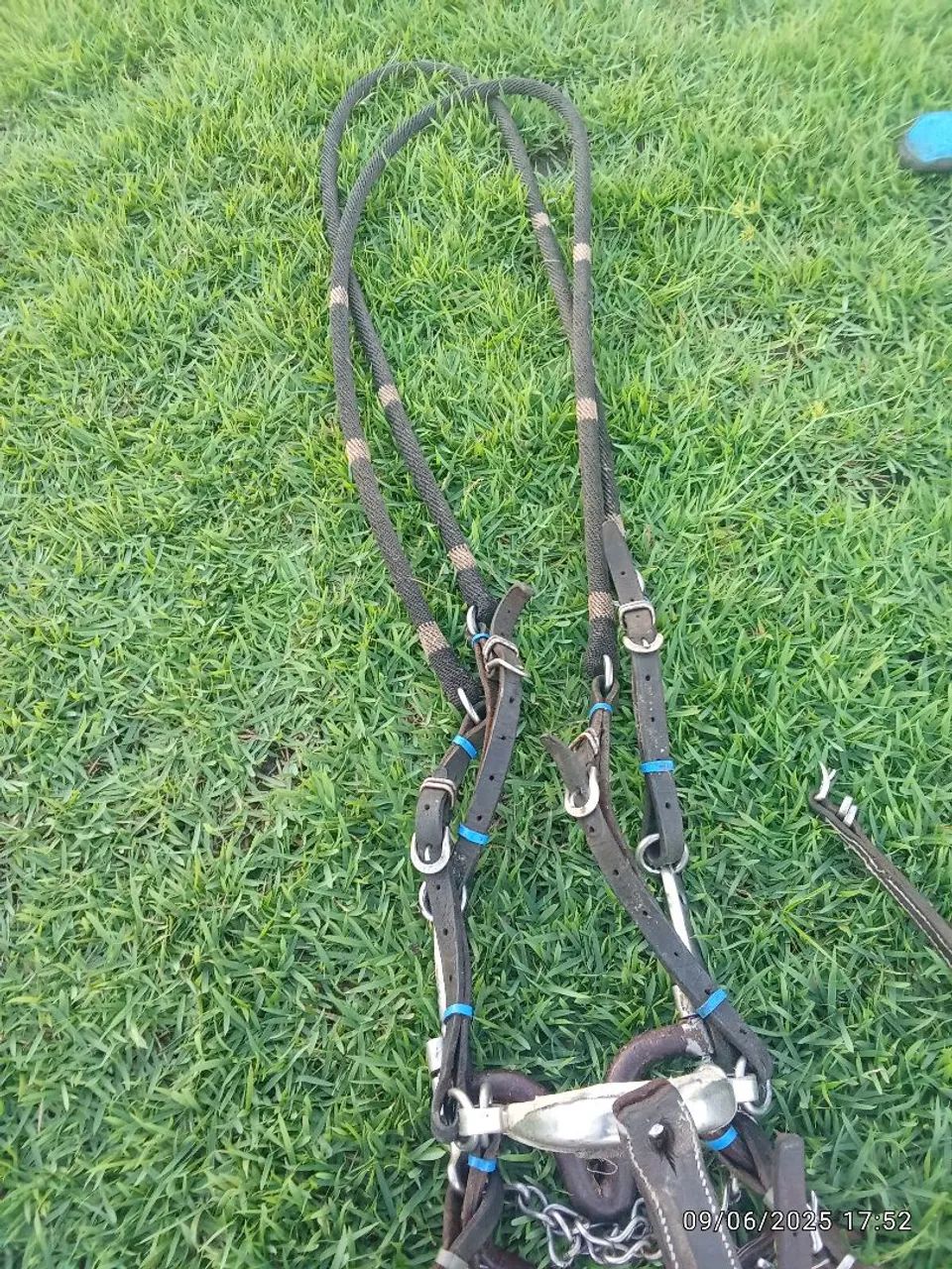 Arreio de Vaquejada Completo para Venda - Foto 5