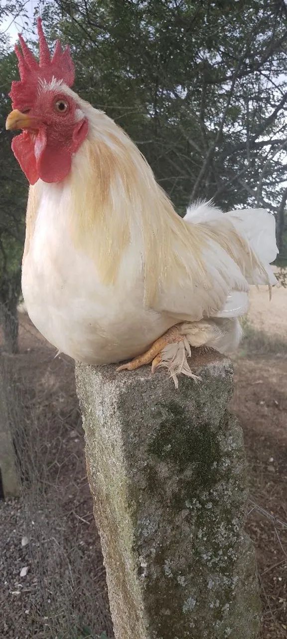 Liquidando últimas unidades 