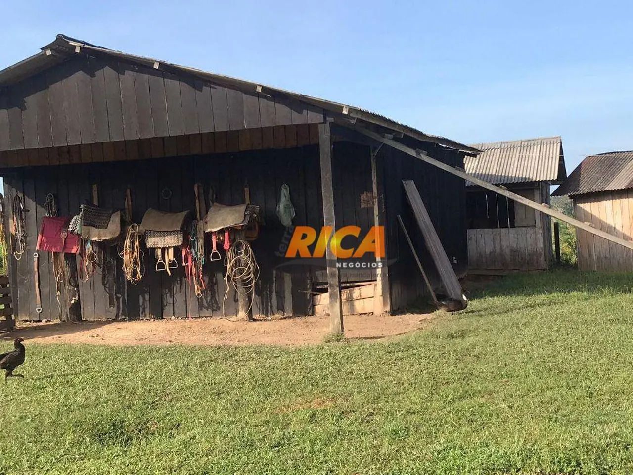 Excelente fazenda à venda, com 814,30 hectares no município Sena Madureira/AC - Foto 5