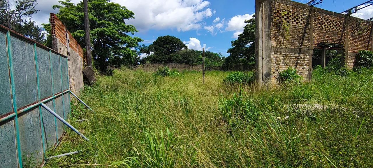 Terreno Grande em Ananindeua  - Foto 5