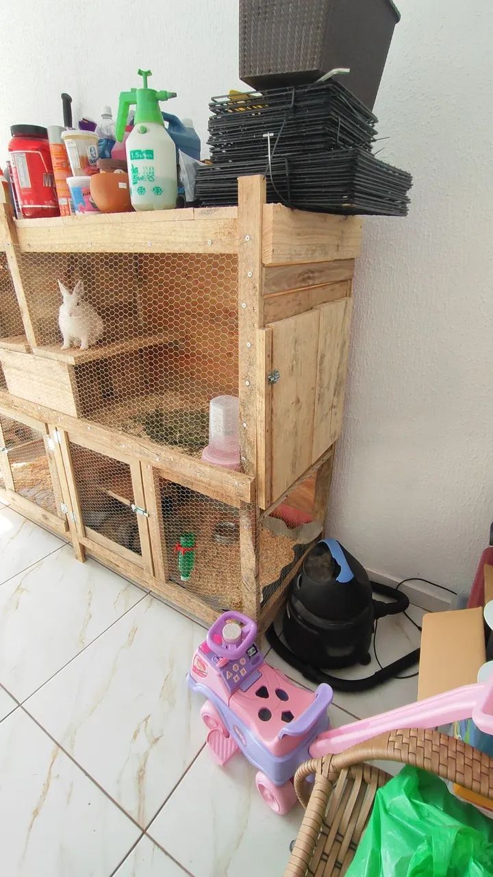 Viveiro madeira64169319717506120