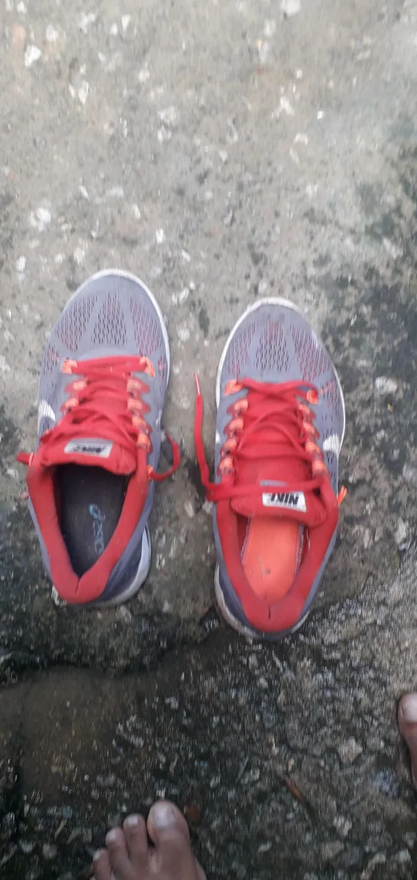 Tênis Nike Cinza com Detalhes Vermelhos