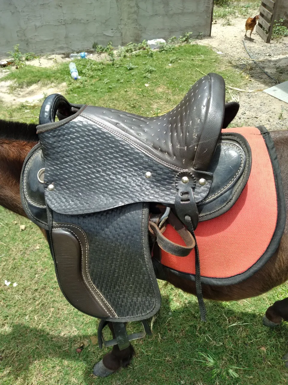 Sela para poni