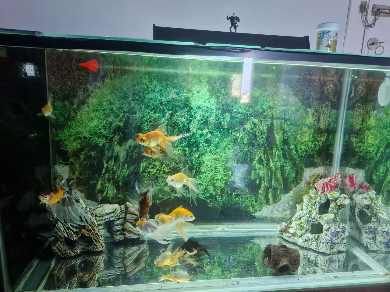 Aquário com armário planejado 