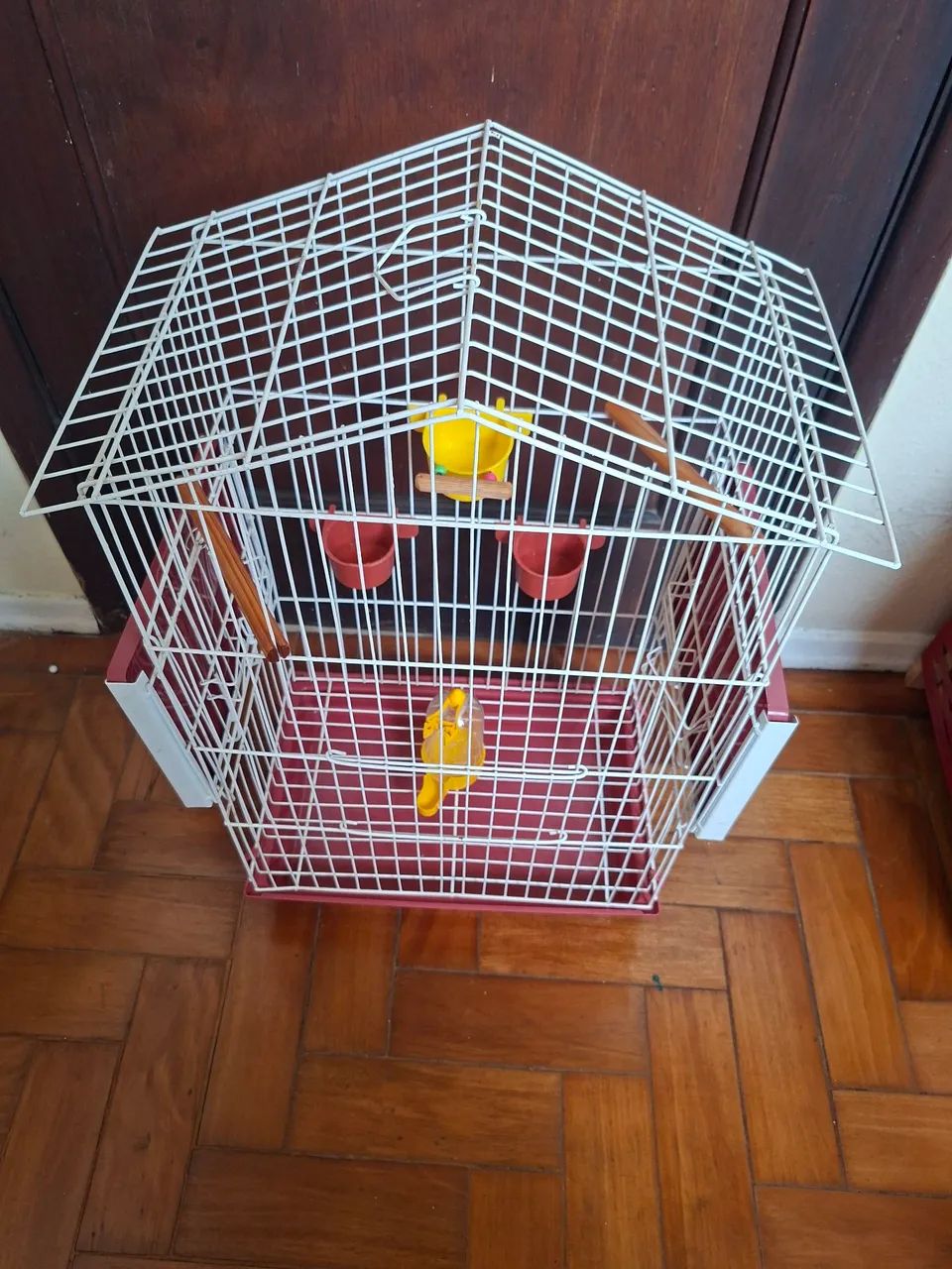 Gaiola para Calopsita  - Foto 2