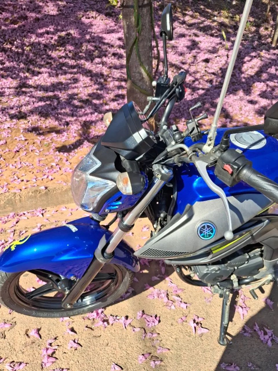 Fazer 250 versão limitada bem conservada  - Foto 4