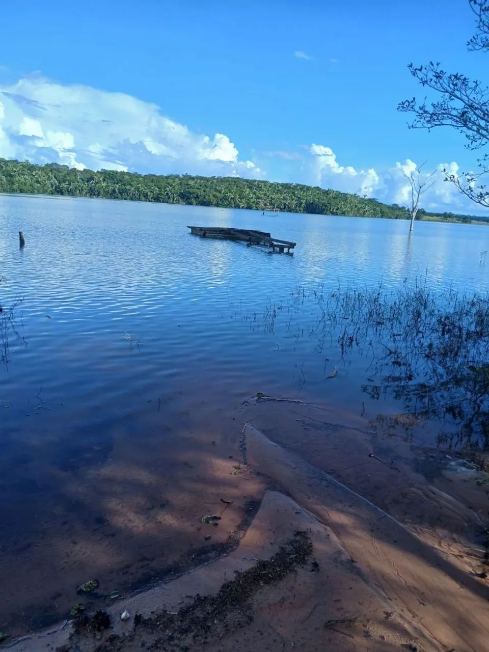 Sítio no manso do lado de chapada  - Foto 4