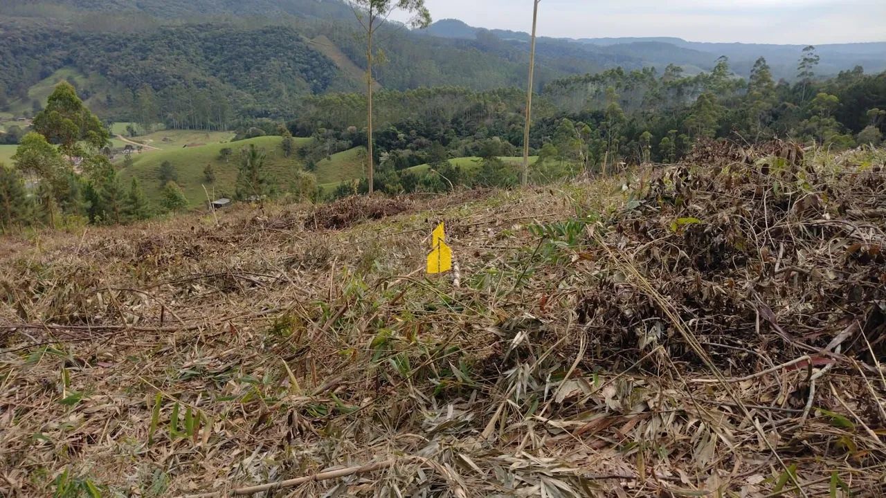 Terreno para Sítio - Foto 2