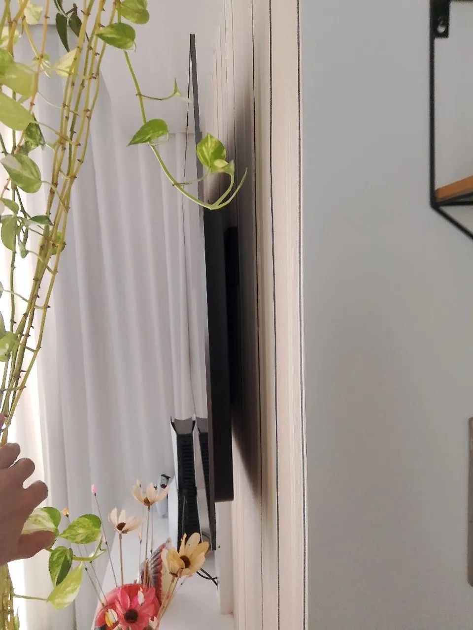 Tv OLED C2 55 polegadas semi nova - Foto 5