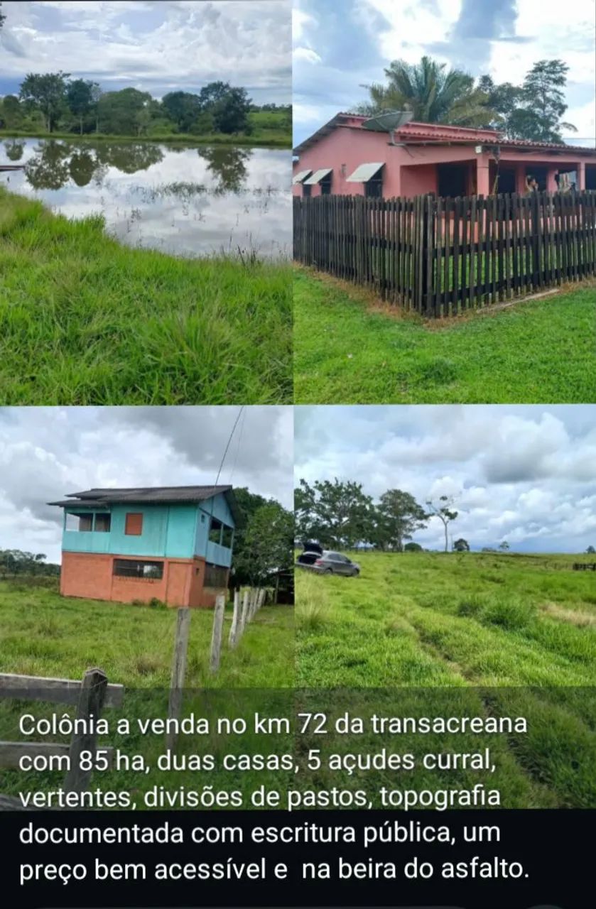 Colônia na transacreana 