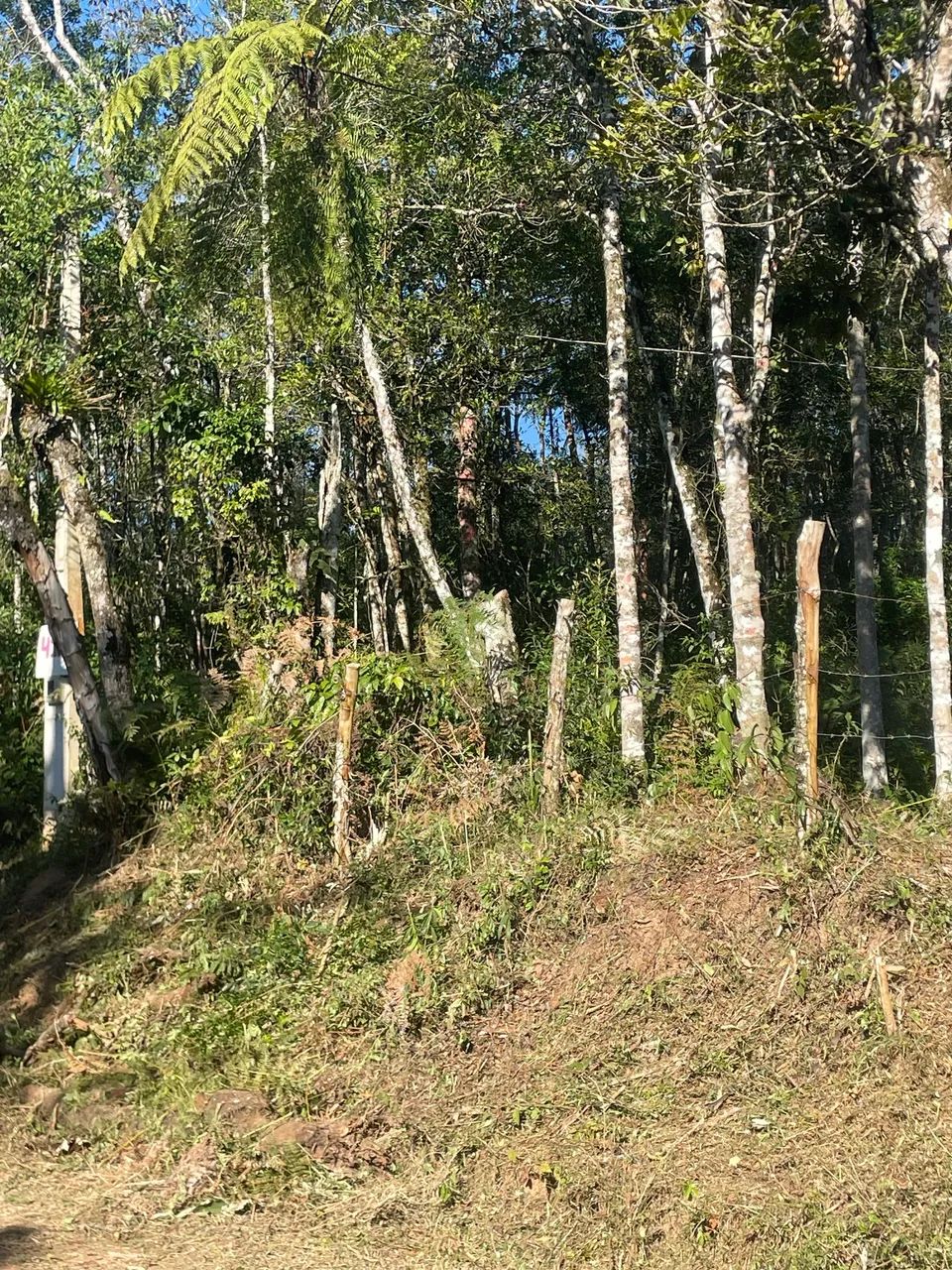 Terreno em Ibiúna  - Foto 2