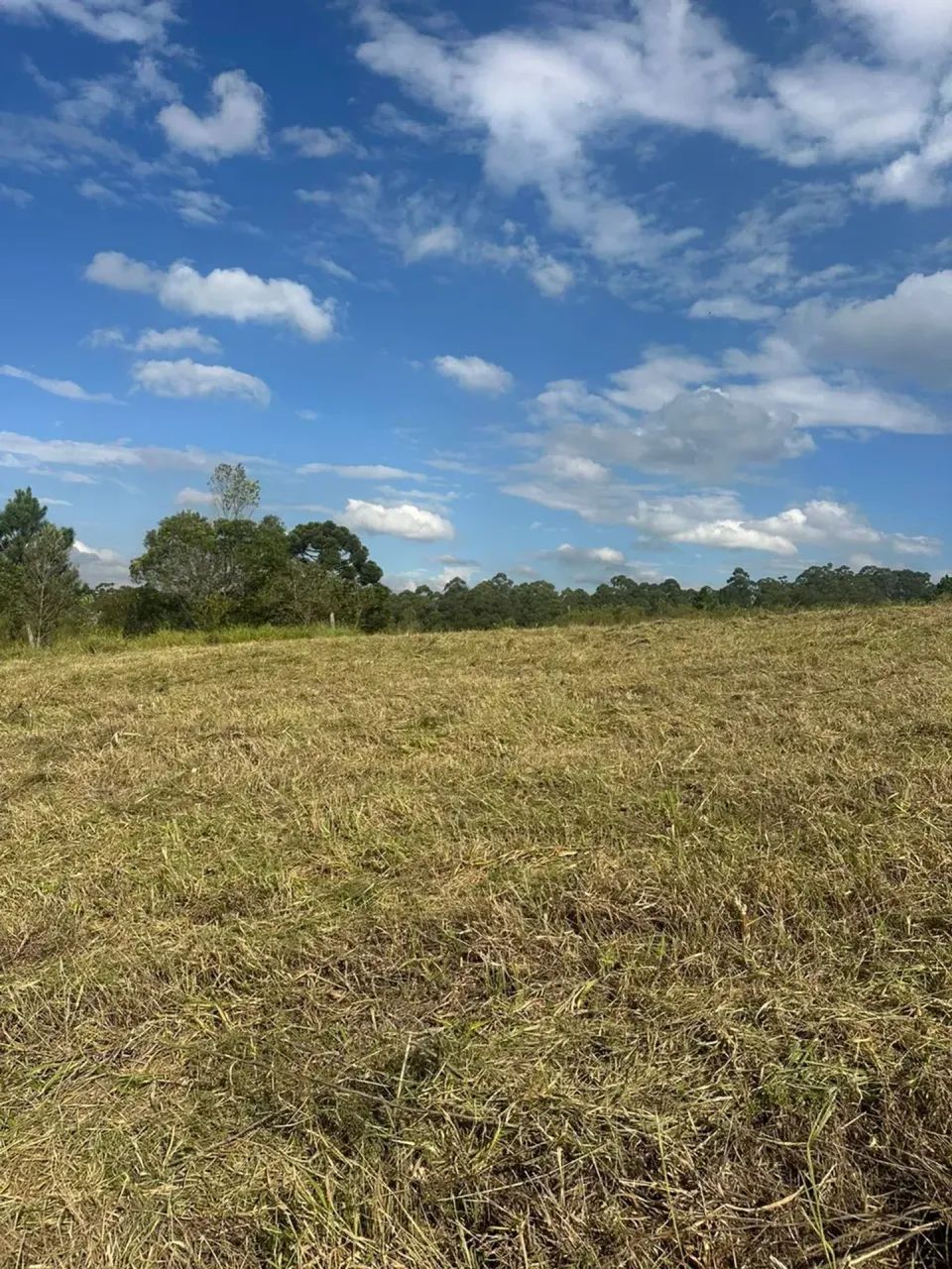 Terreno de 500 metros em Centro - Mairinque - SP - Foto 5