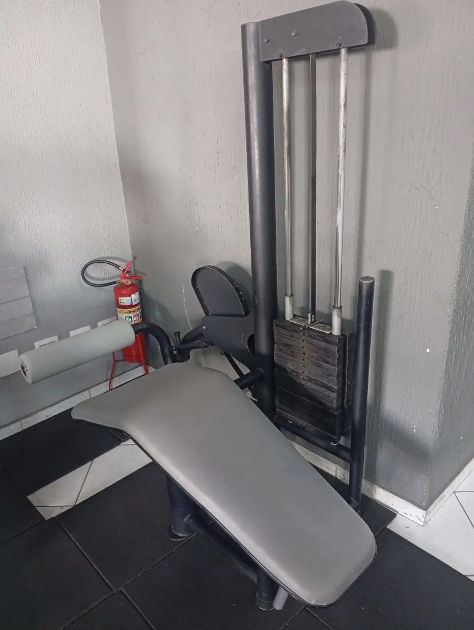 Peitoral/ Dorsal/ Mesa flexora  - Foto 3