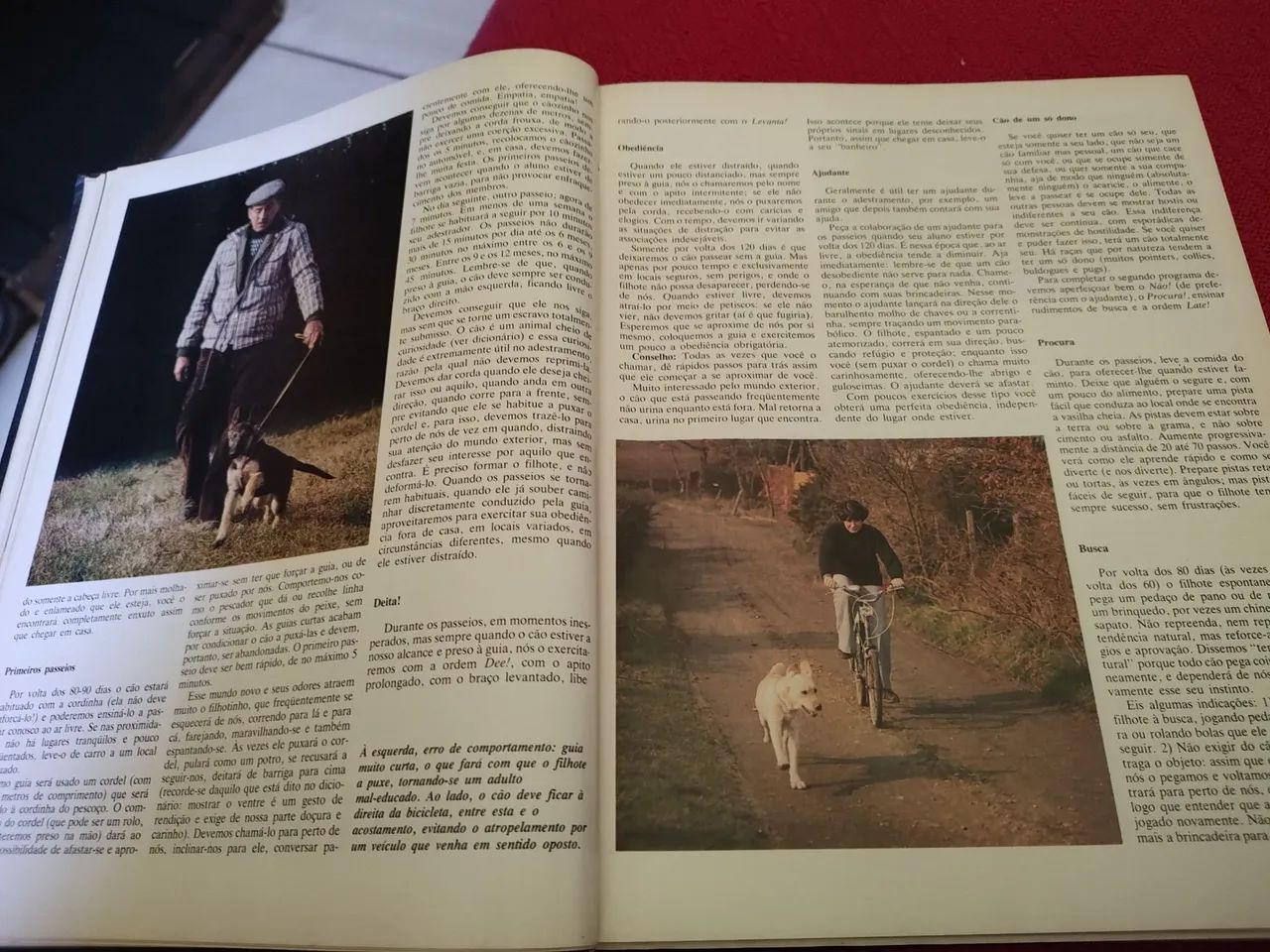 Enciclopédia Rara - Cães  - Foto 3
