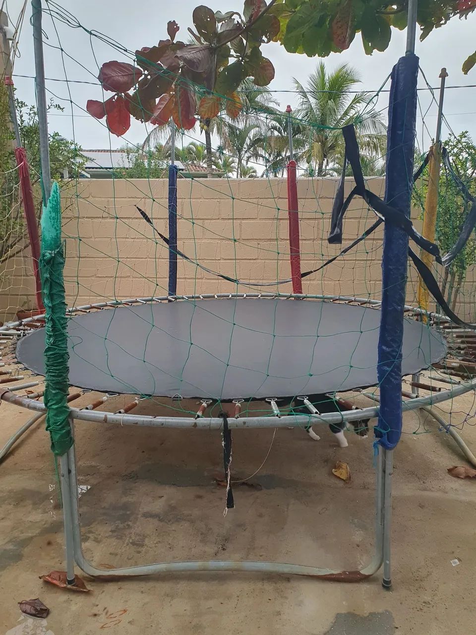 Cama elástica 3,05 - Foto 5