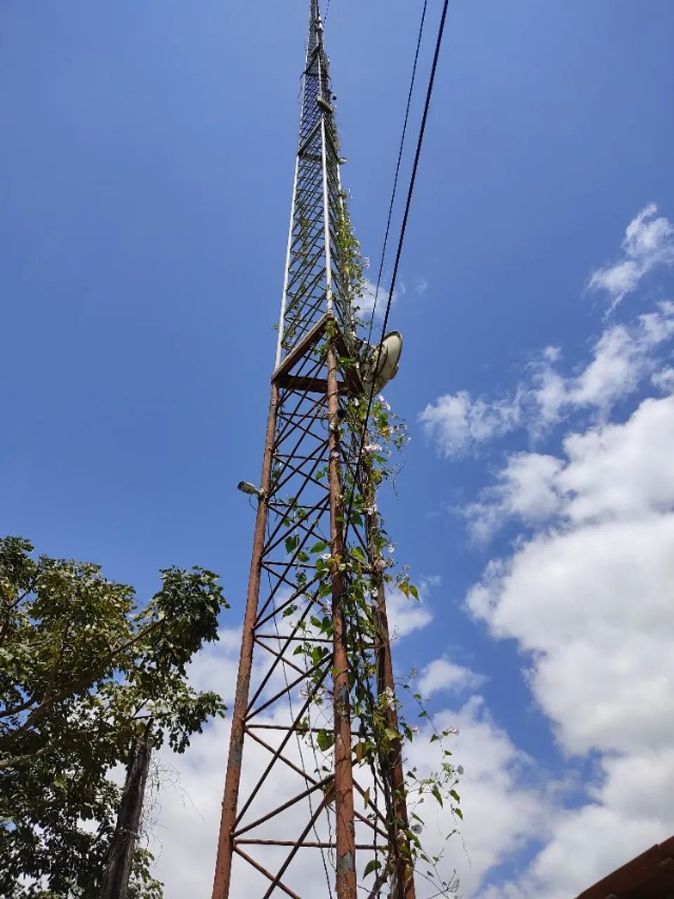 TORRE INTERNET - Foto 2