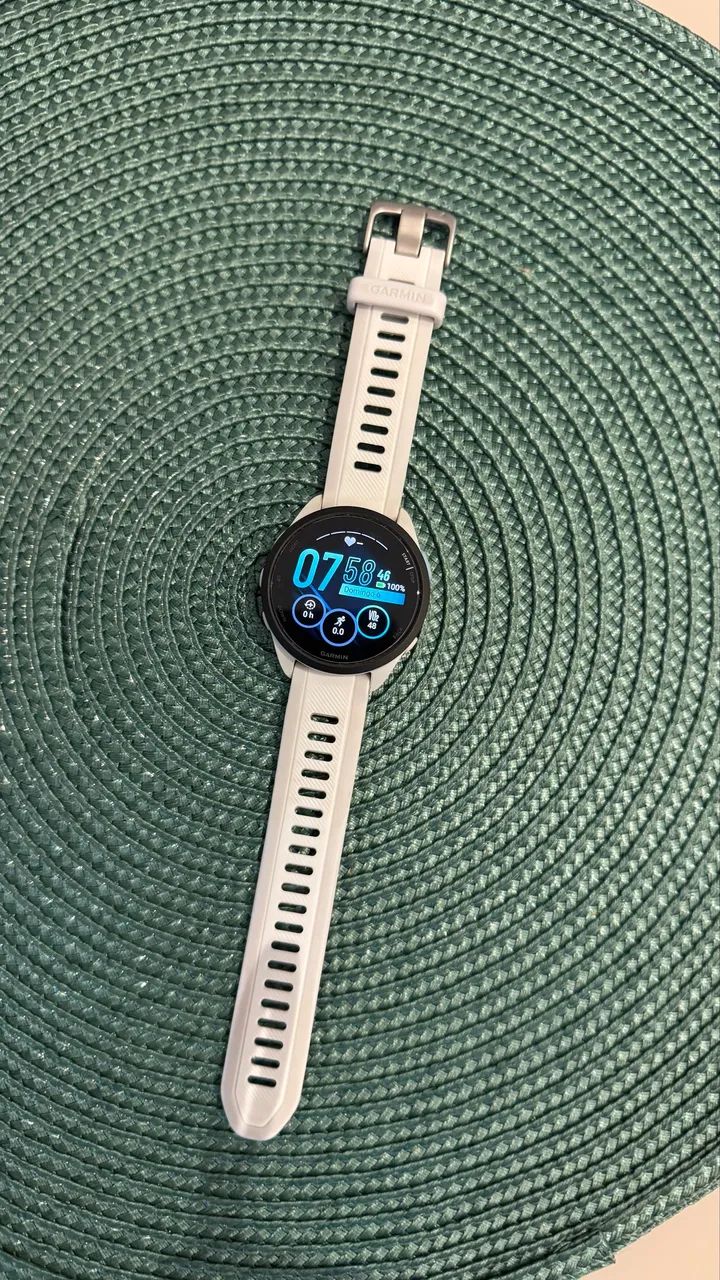 Garmin 165
