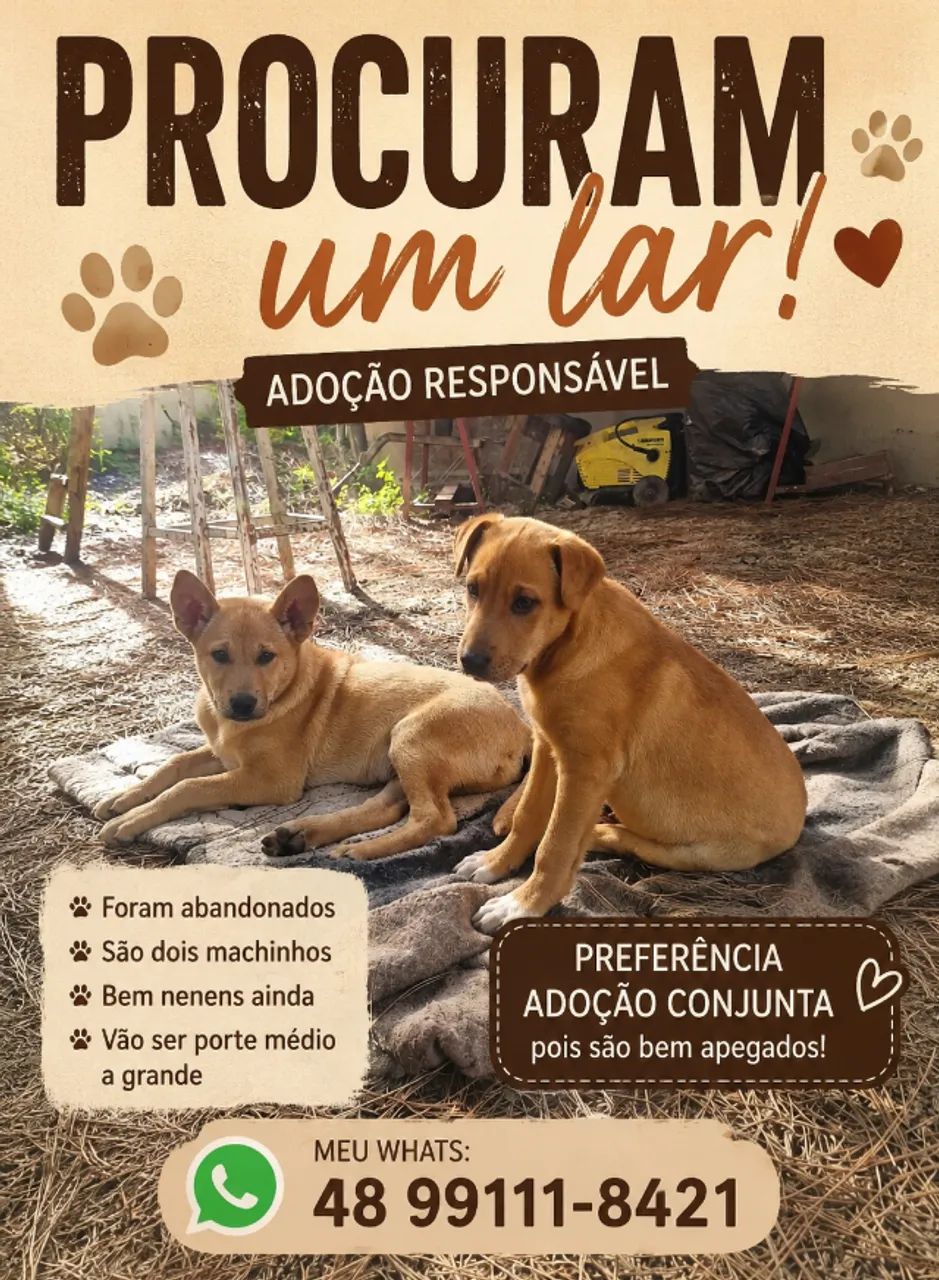 Doação se Cachorros