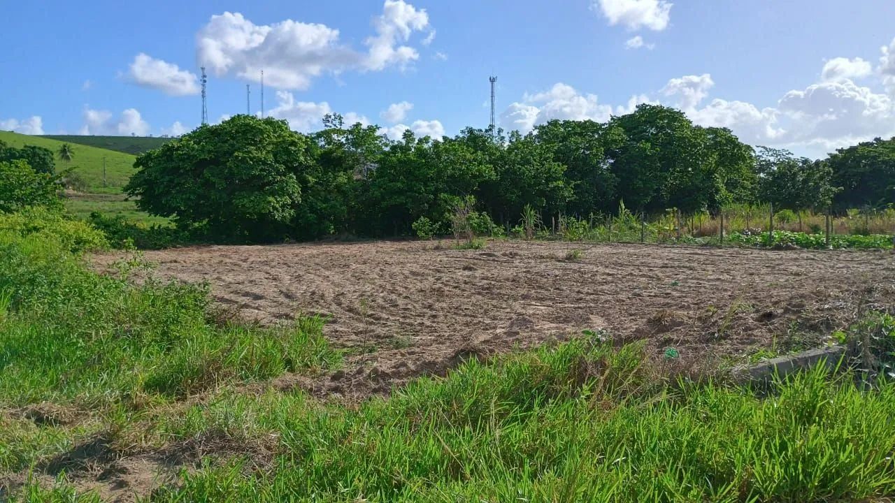 Excelente oportunidade em loteamento próximo ao centro de Flexeiras!  - Foto 4