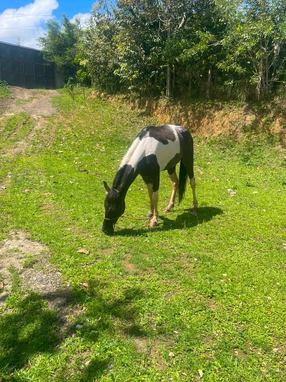 Pra vender  - Foto 4