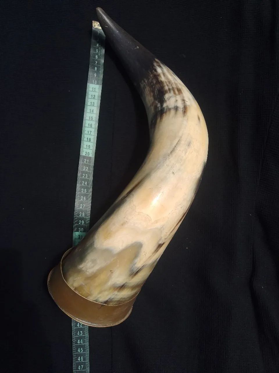 Chifre decorativo 