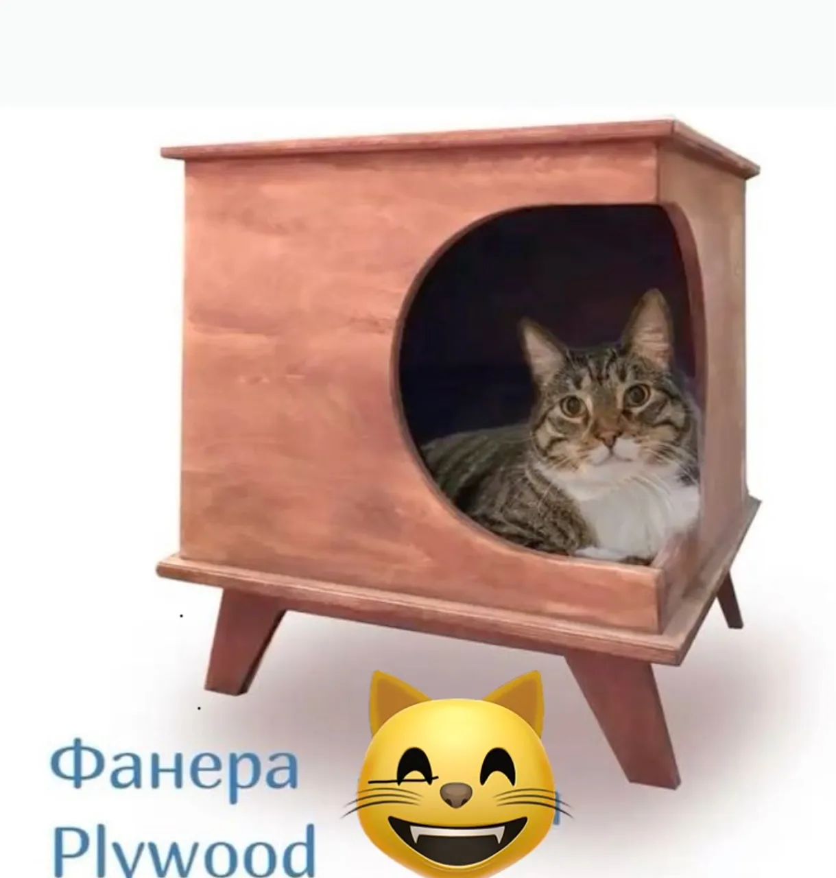 Caixa para gato
