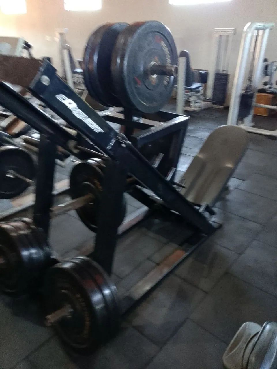 Leg Press 45? 