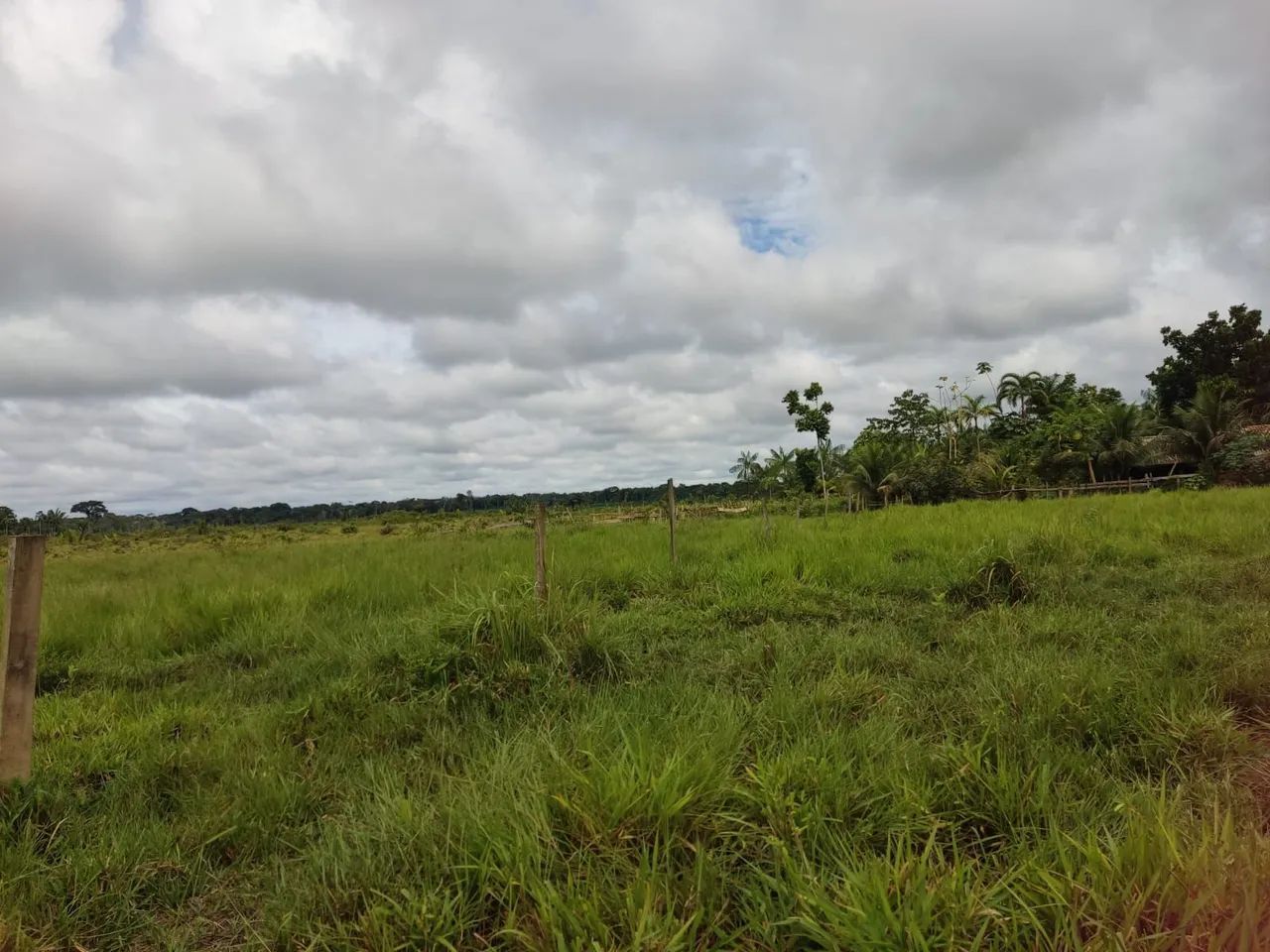 Vendo Fazenda - Foto 2