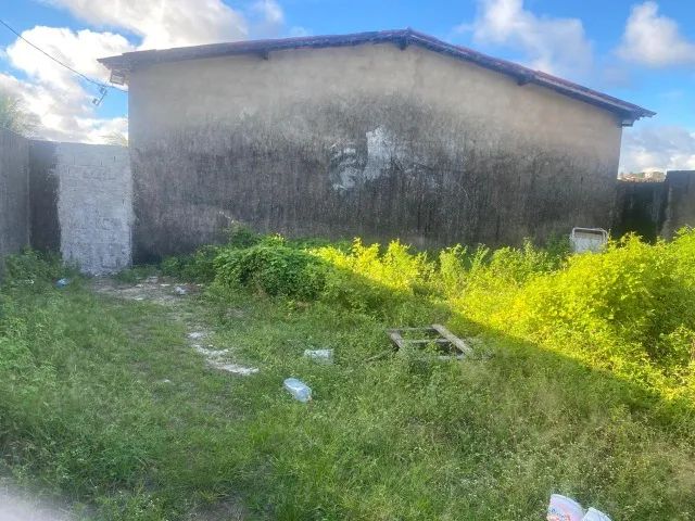Terreno 10x8 com piscina todo  murado - Foto 3