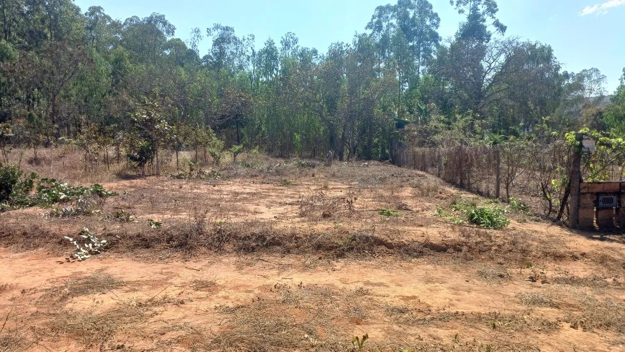 Lote em zona rural d lontra  - Foto 5