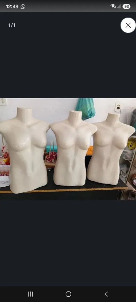 3 busto feminina 