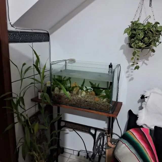 Aquário  - Foto 3