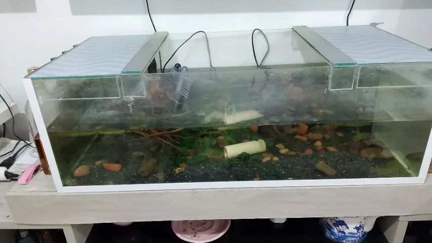 Aquário  - Foto 2