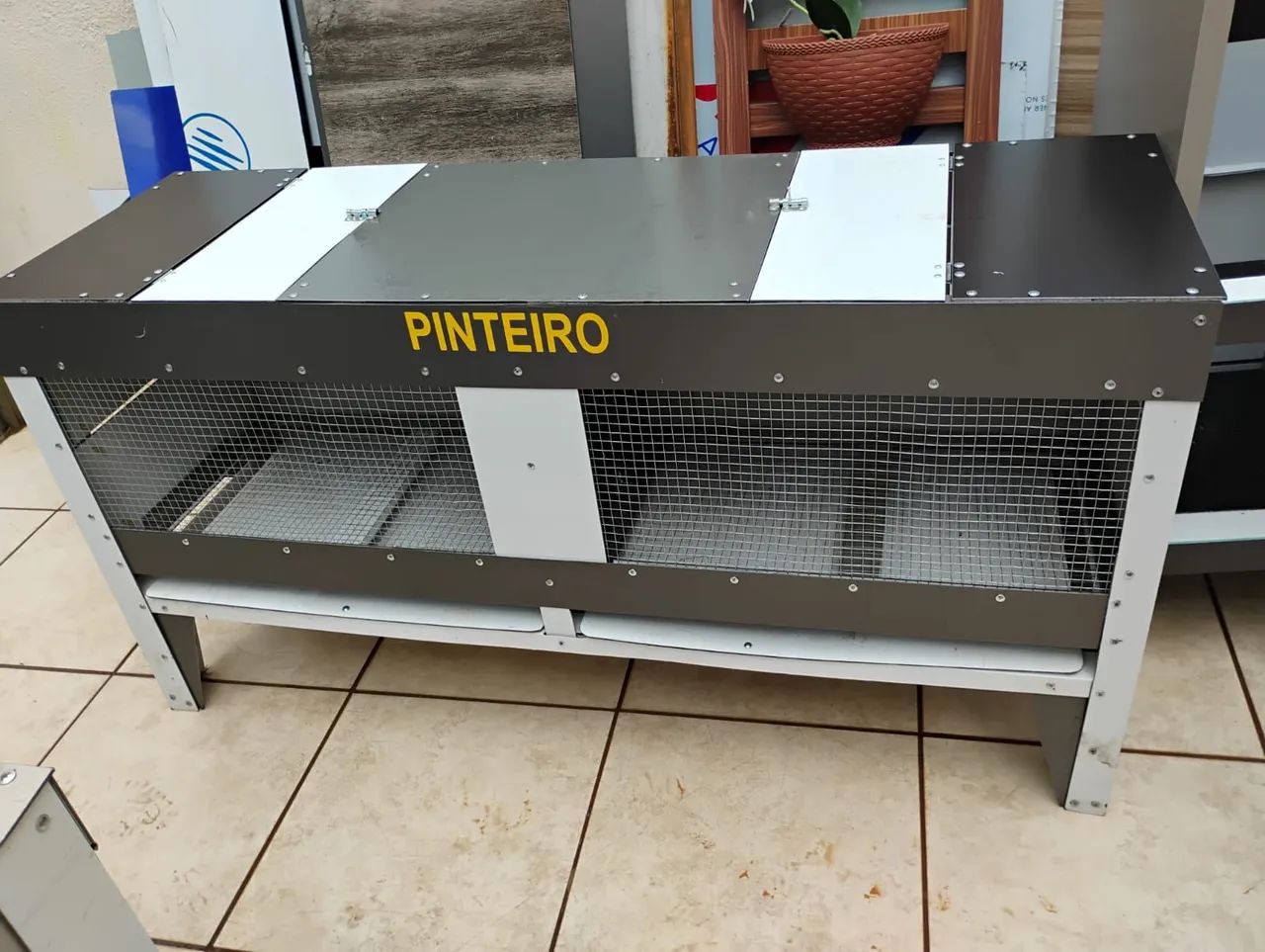 Pinteiro - Foto 3