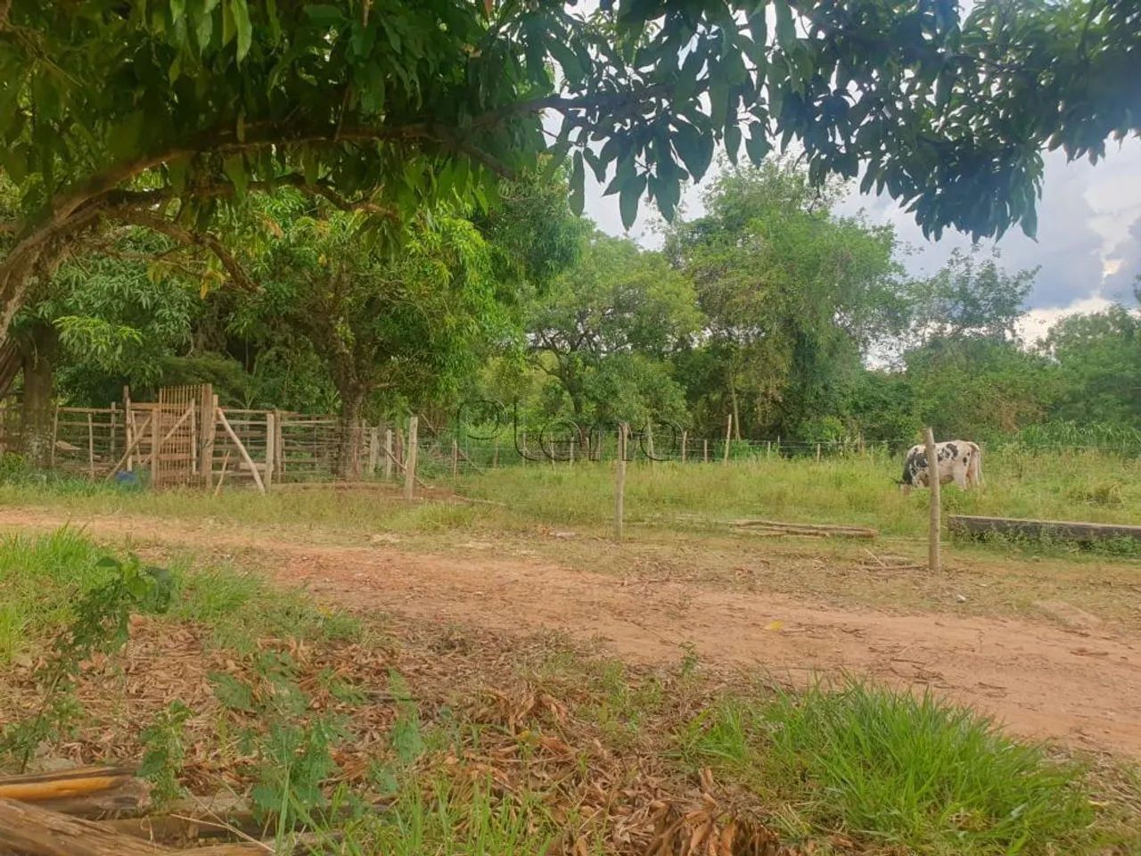 Sítio à venda com 49500 m² no Cidade Universitária, Campinas.