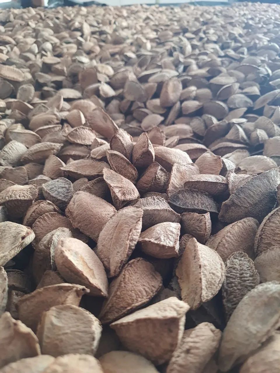 Vendo Castanha do Pará sem casca e com casca ! - Foto 4