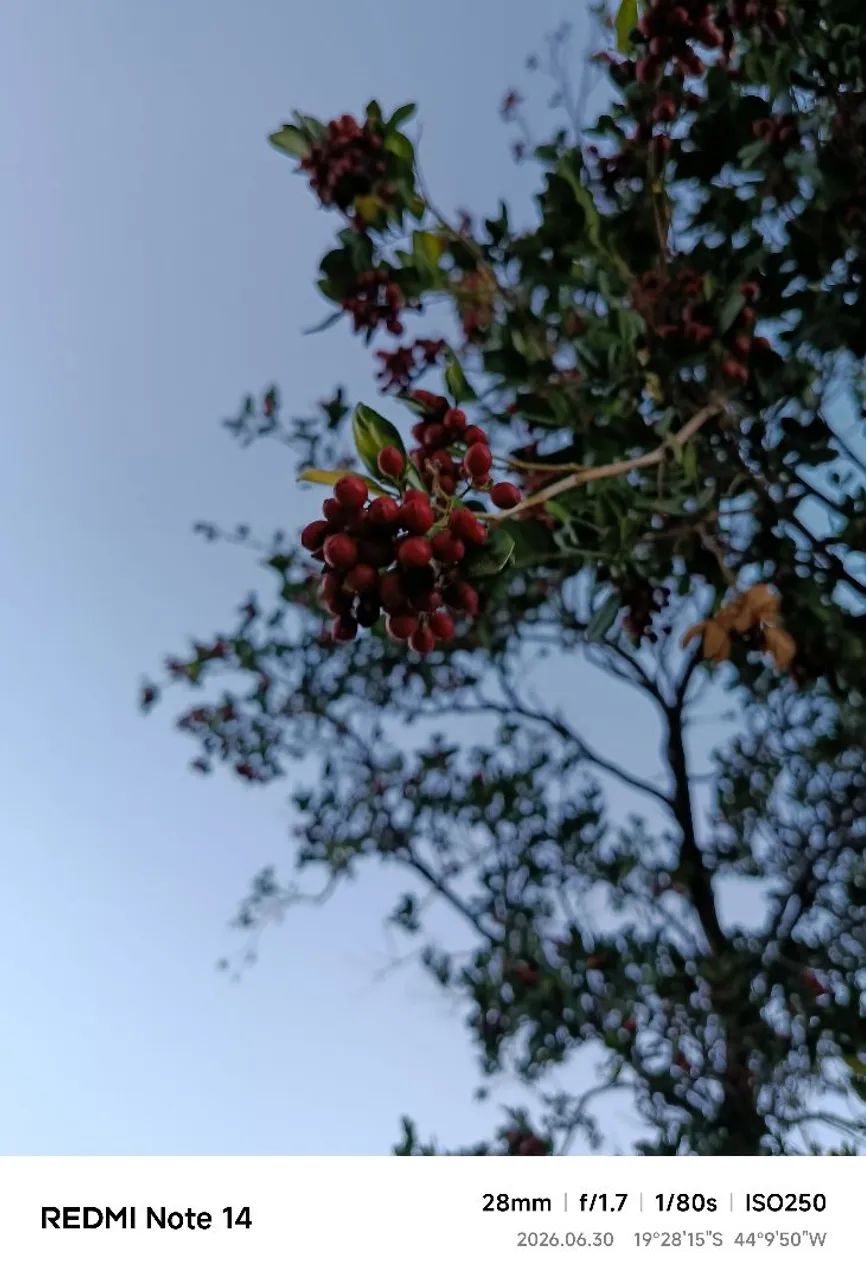 Redmi 14 256gb - Foto 5