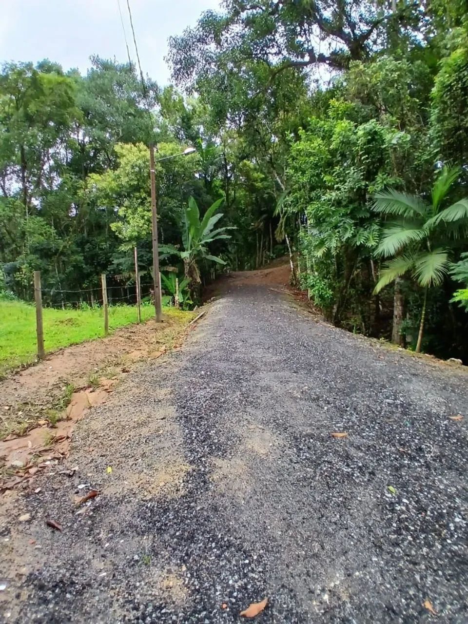 SÍTIO a VENDA CAMBORIÚ  - Foto 3