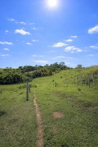 Rural Chácara em Santa Isabel - Foto 3