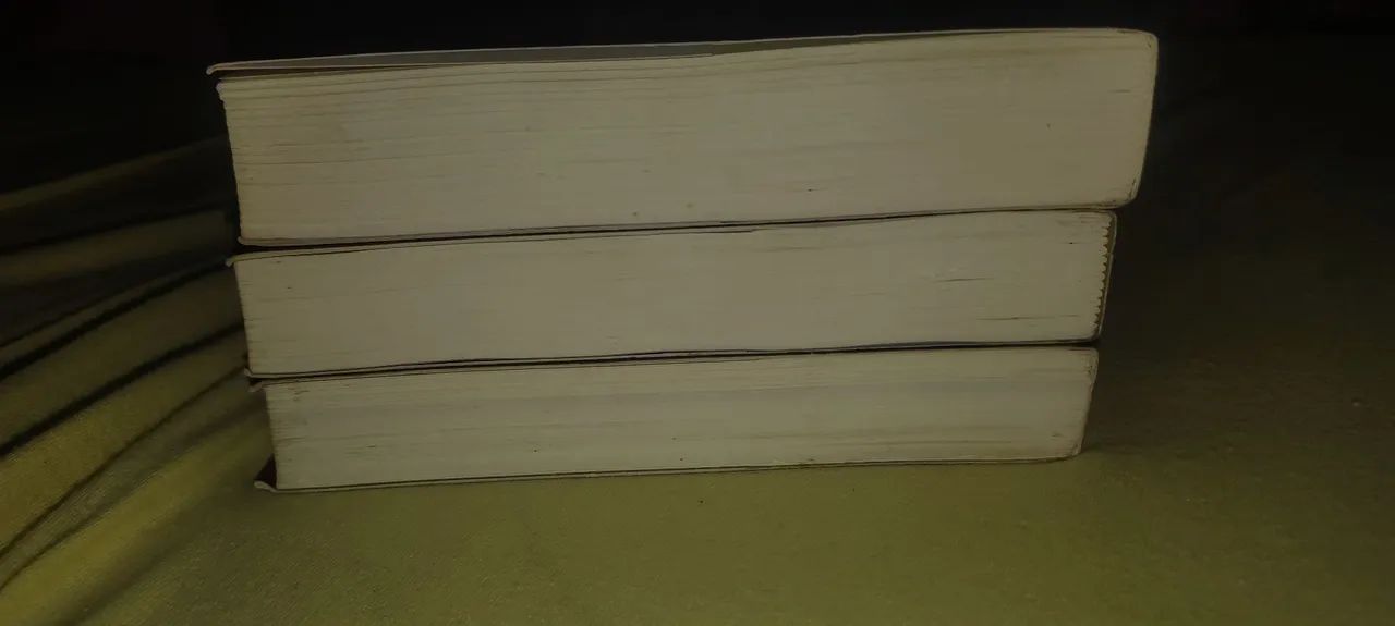 Lote 3 Livros Saga Crepúsculo - Super Conservados (Sem Mofo) - Foto 5