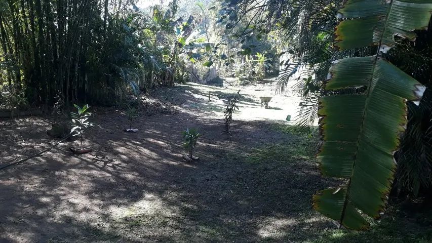 Chácara em Mongaguá - Foto 3