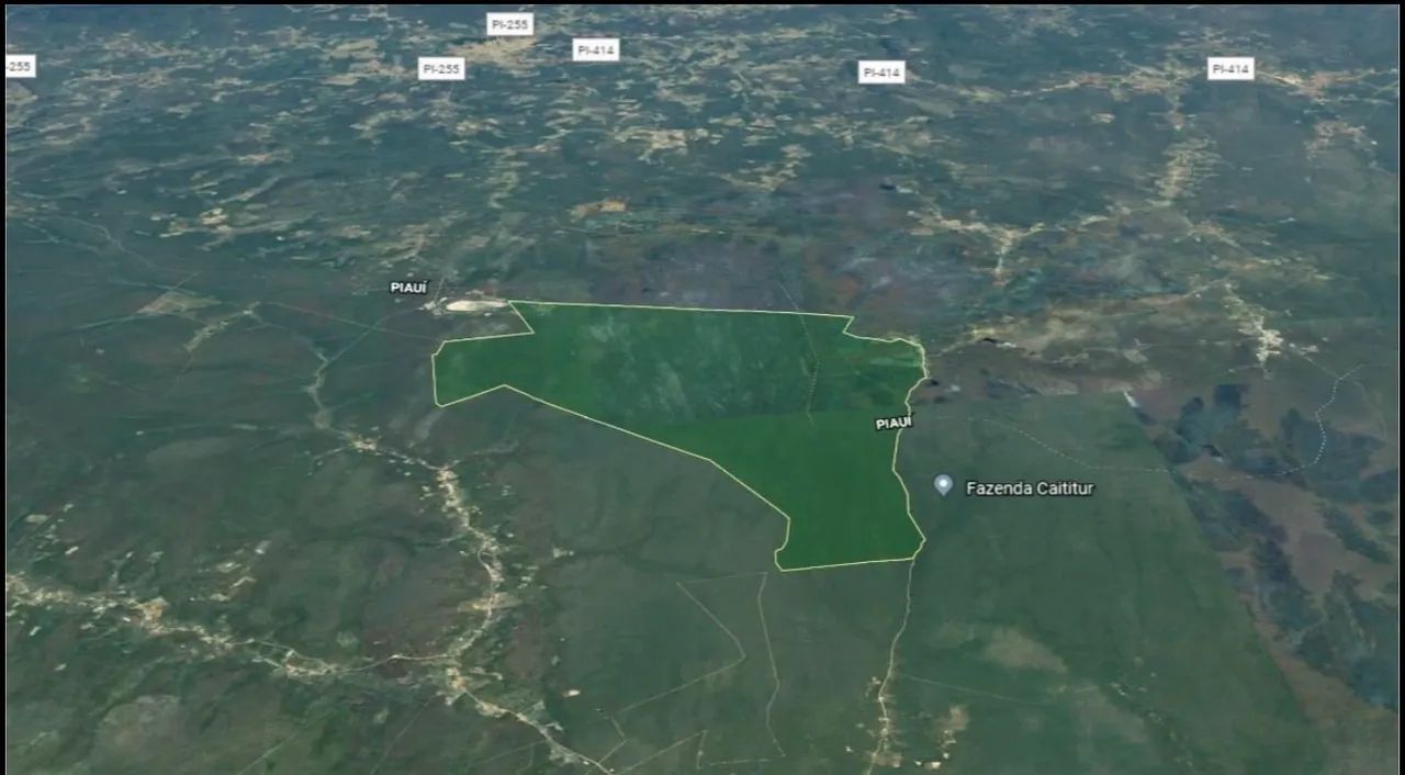 FAZENDA 7.000 HA PILAO ARCADO BA