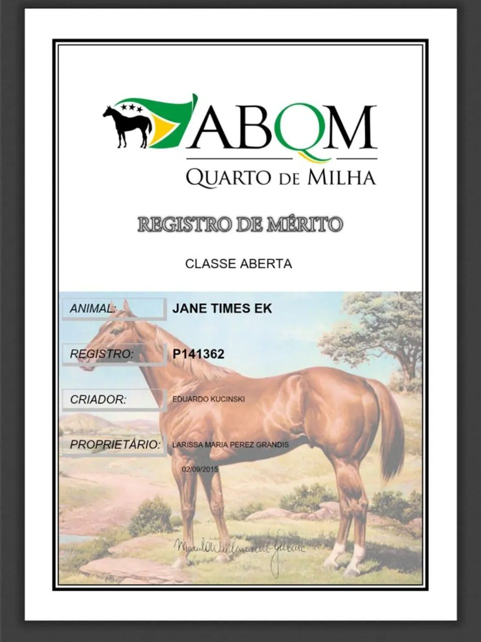 Égua Quarto de Milha - Foto 4