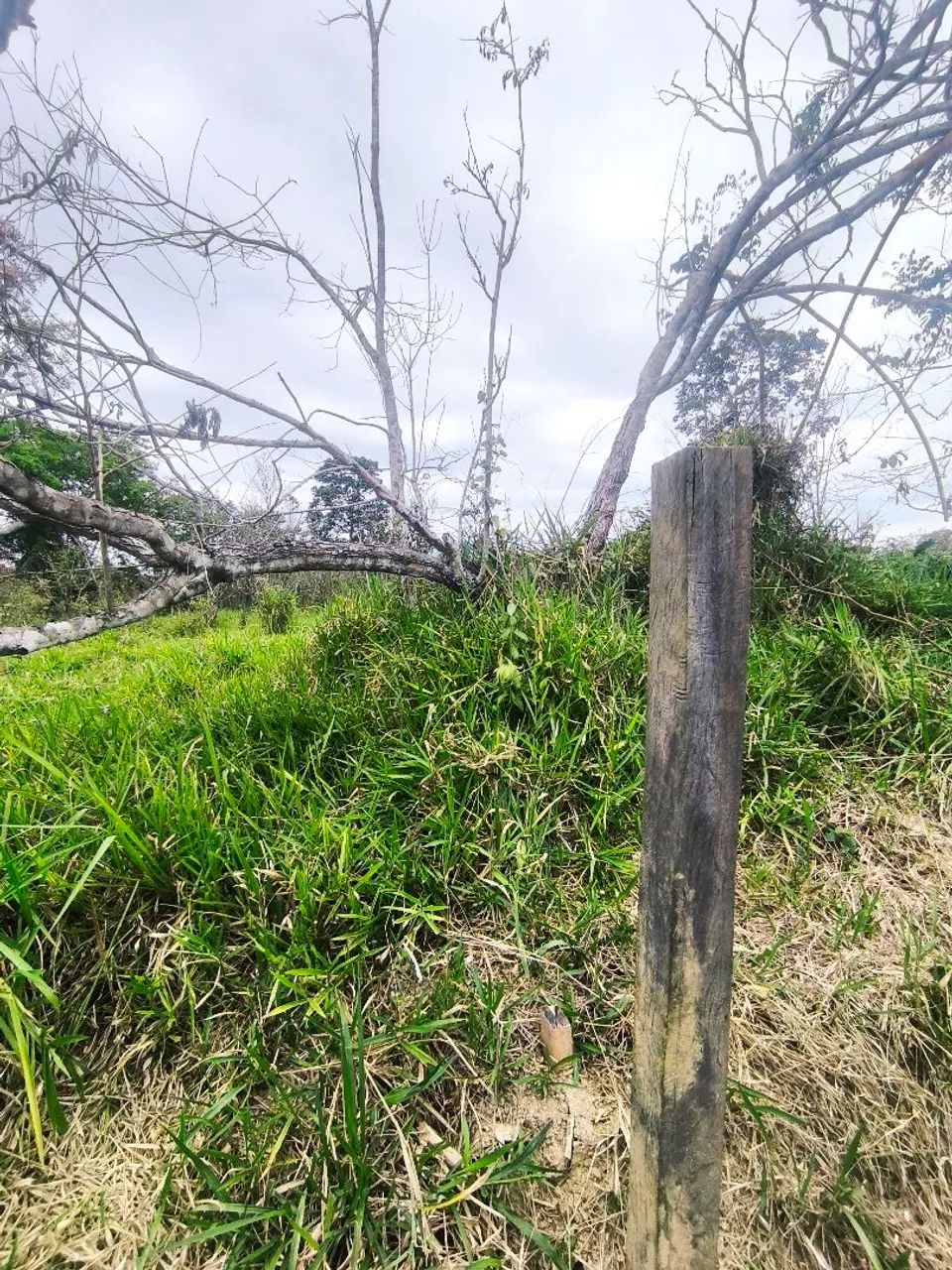 Terreno 10x30 - Foto 4