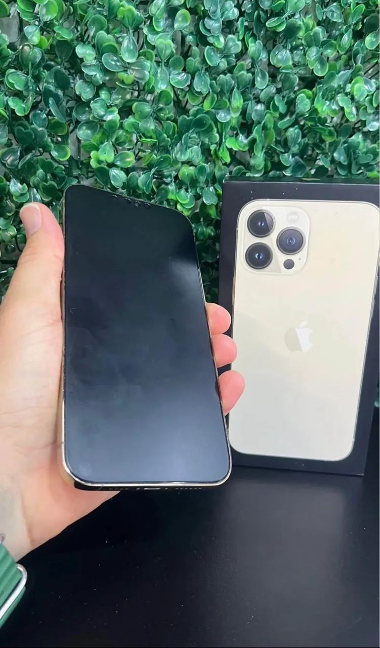 iPhone 13 Pro Max 128gb - Celulares e Smartphones - Grotão, João