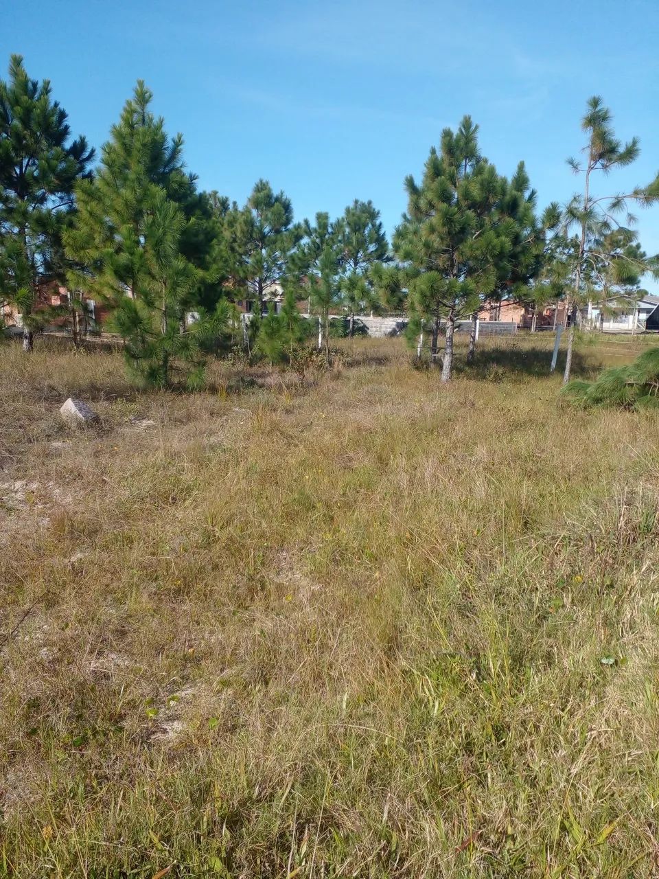 Parcelo Direto. - Foto 3
