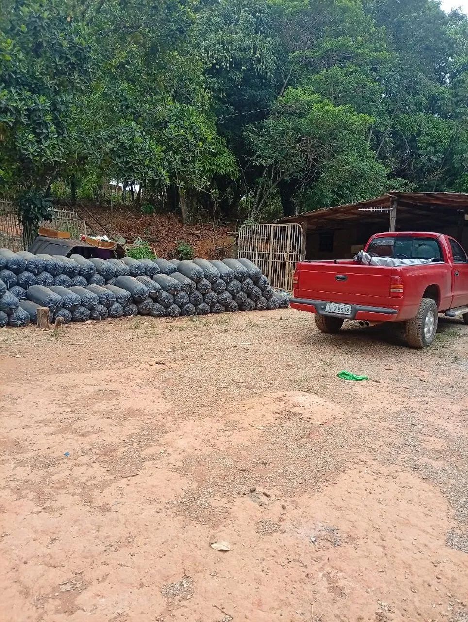 Silagem para Gado  - Foto 2